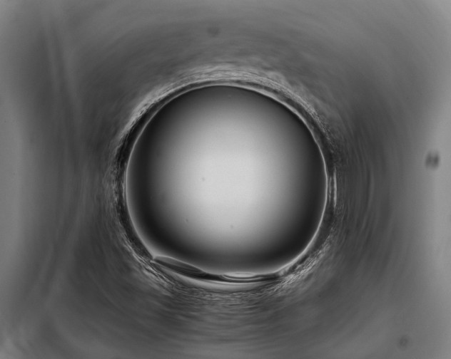 X0000098081501200804041136