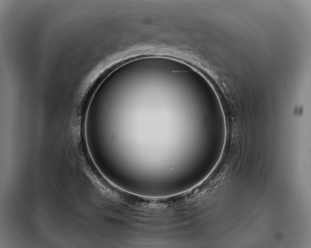 X0000098081503200804041136