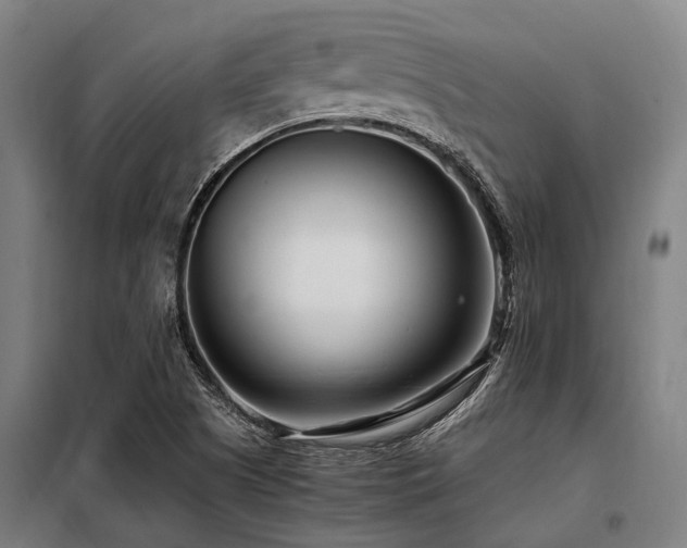 X0000098081505200804041136
