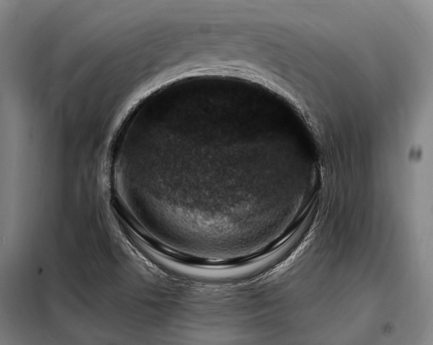X0000098081506200804041136