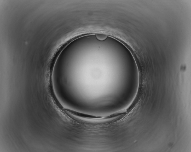 X0000098081507200804041136
