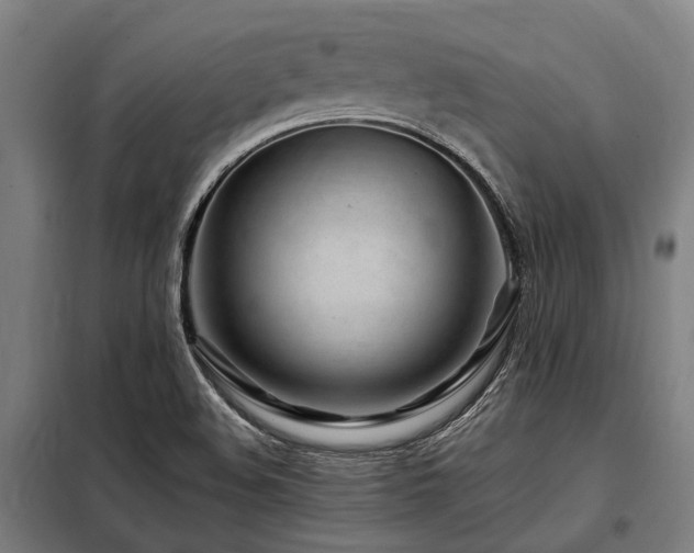 X0000098081508200804041136
