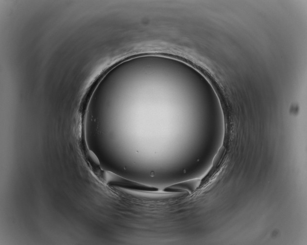 X0000098081509200804041136