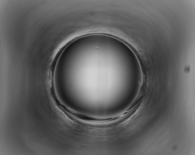 X0000098081510200804041136