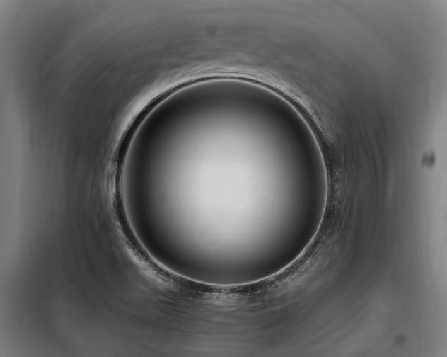 X0000098081511200804041136