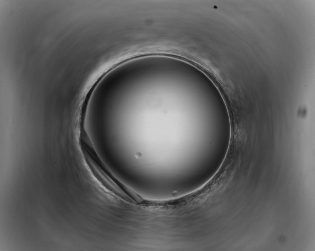 X0000098081512200804041136