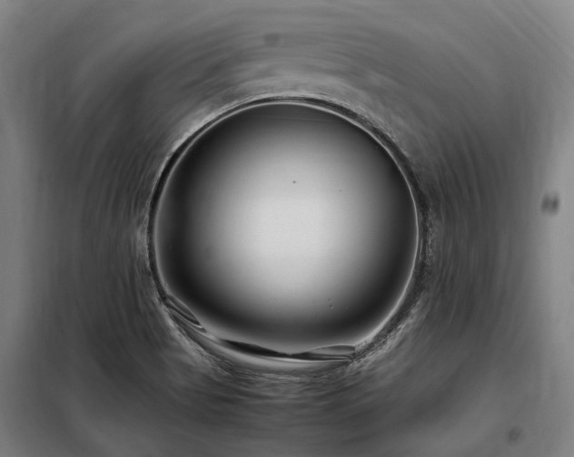 X0000098081513200804041136