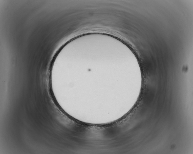 X0000098081514200804041136