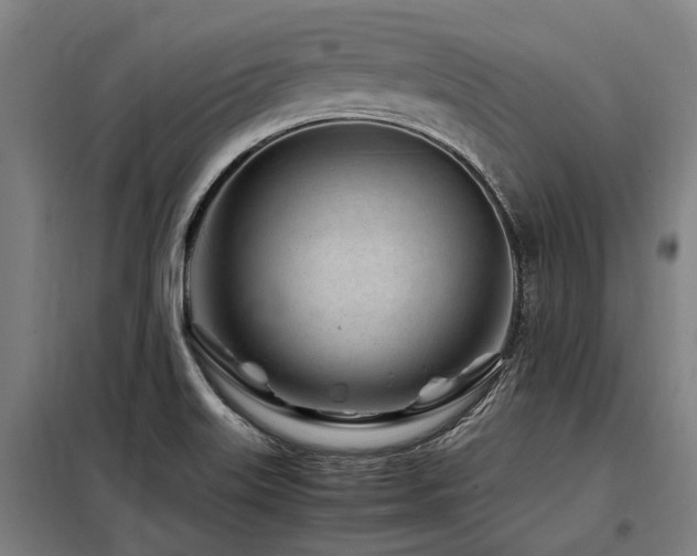 X0000098081515200804041136