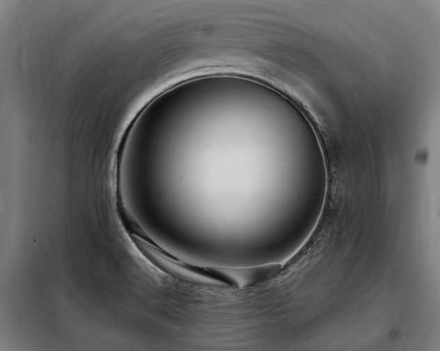 X0000098081516200804041136