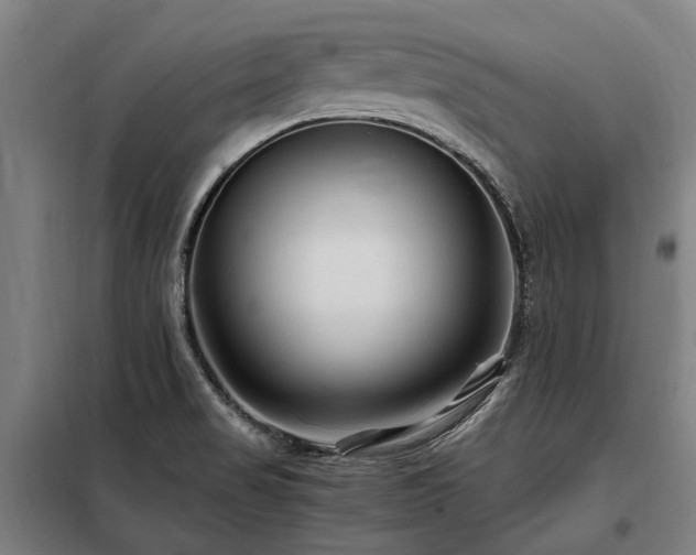 X0000098081517200804041136