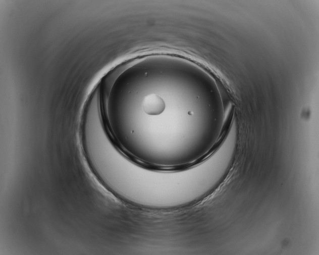 X0000098081518200804041136