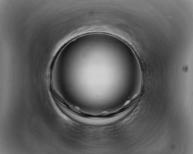 X0000098081519200804041136