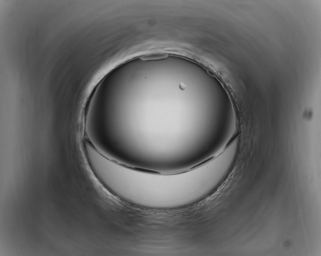 X0000098081520200804041136