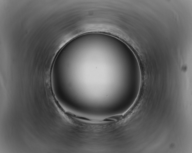 X0000098081521200804041136