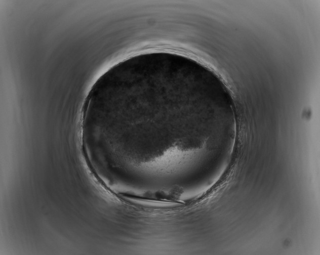 X0000098081522200804041136