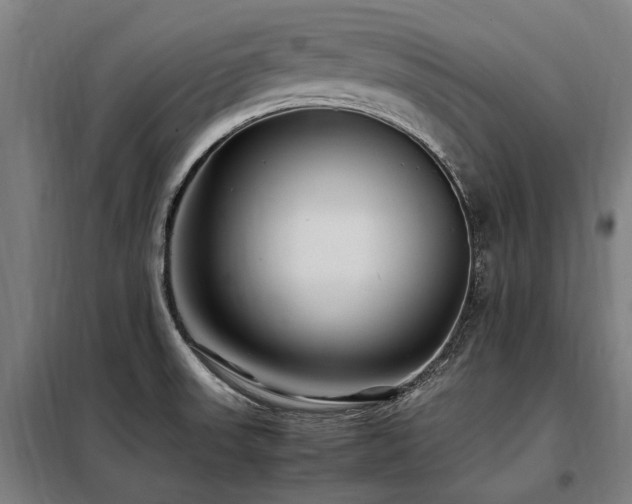 X0000098081523200804041136