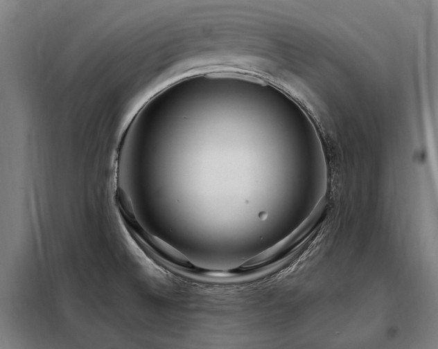 X0000098081524200804041136