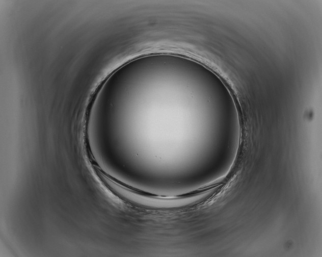 X0000098081525200804041136