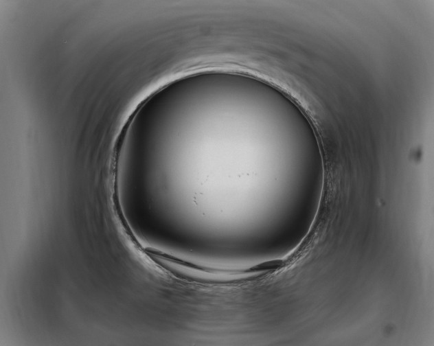 X0000098081526200804041136
