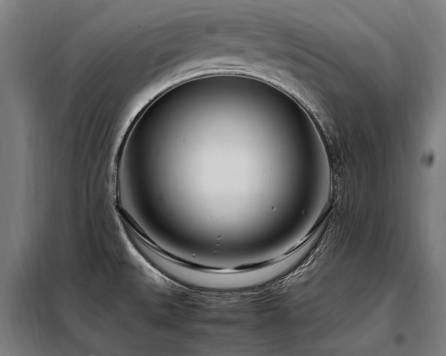 X0000098081527200804041136