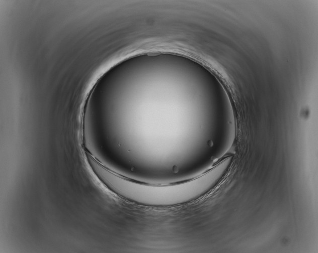 X0000098081528200804041136