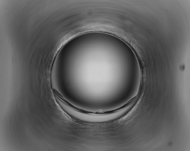 X0000098081529200804041136