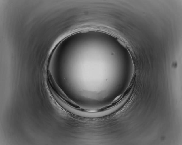 X0000098081530200804041136