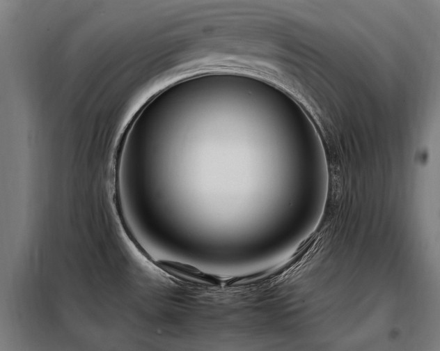 X0000098081531200804041136
