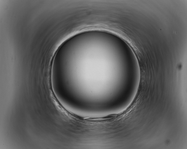 X0000098081534200804041137