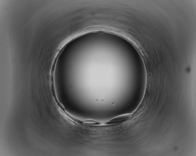 X0000098081535200804041137