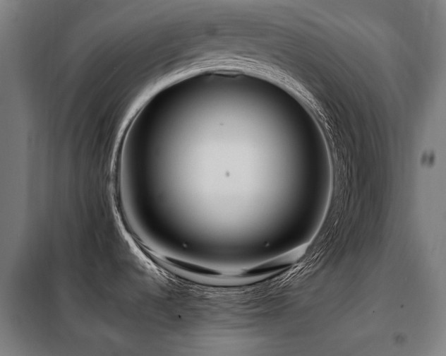 X0000098081536200804041137