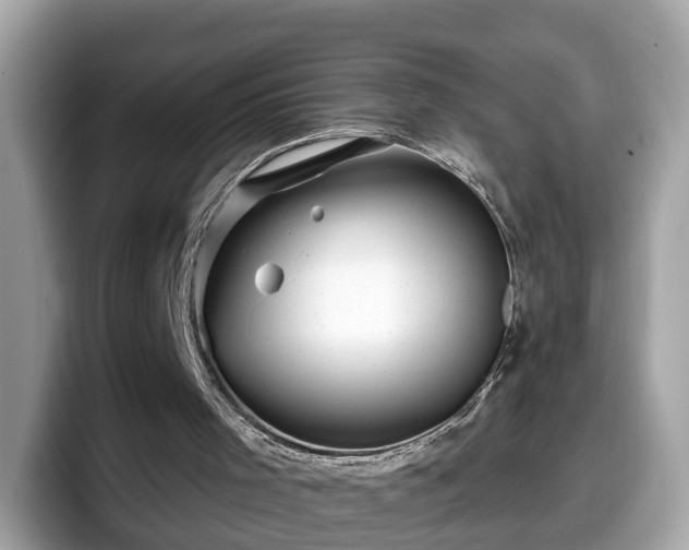 X0000098080001200804110952