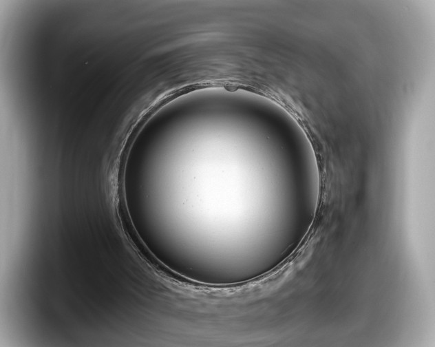 X0000098080002200804110952