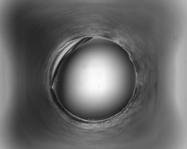 X0000098080005200804110952