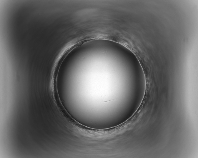 X0000098080006200804110952