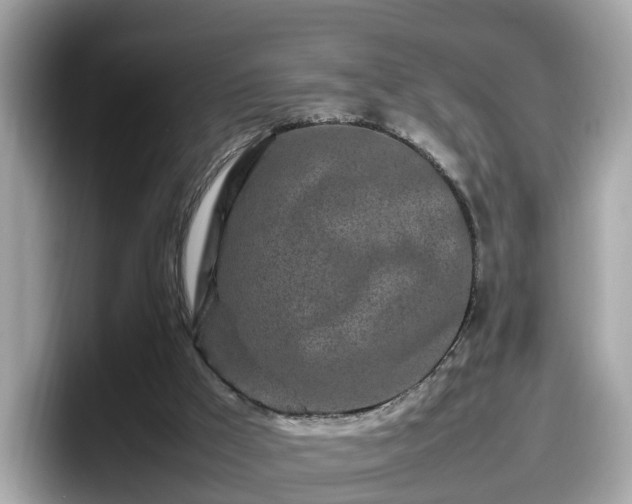 X0000098080009200804110952