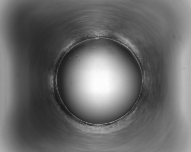 X0000098080010200804110952