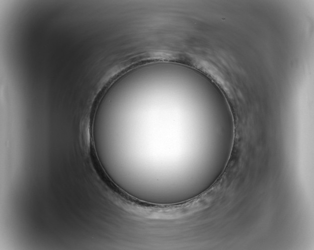 X0000098080011200804110952