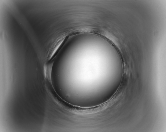 X0000098080013200804110952