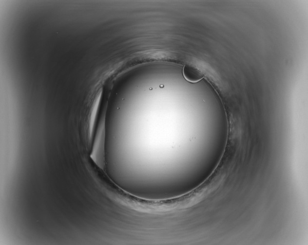 X0000098080014200804110952