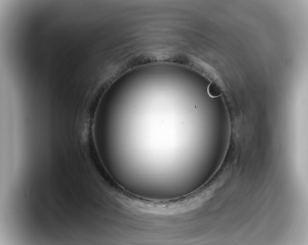 X0000098080018200804110951