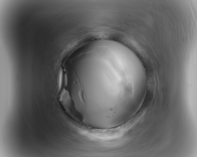 X0000098080023200804110951