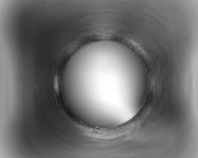 X0000098080026200804110951