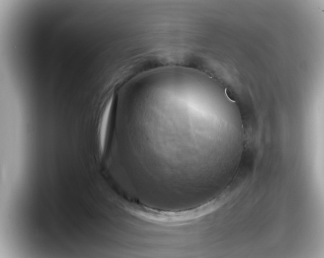 X0000098080027200804110951