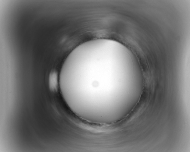 X0000098080028200804110951