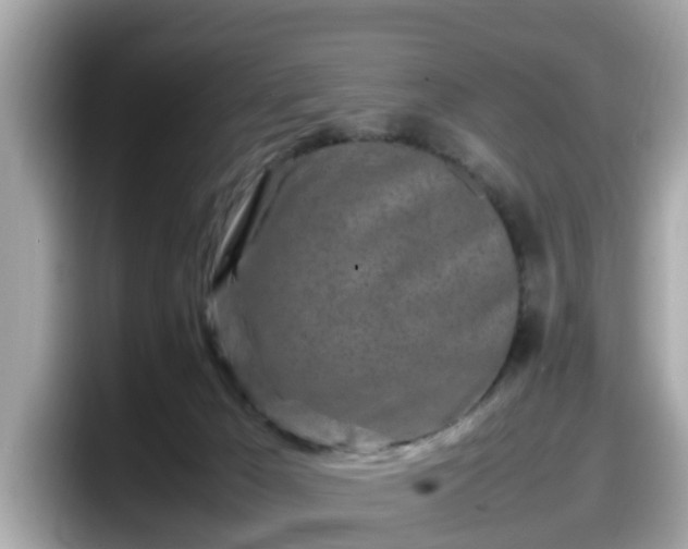 X0000098080029200804110951