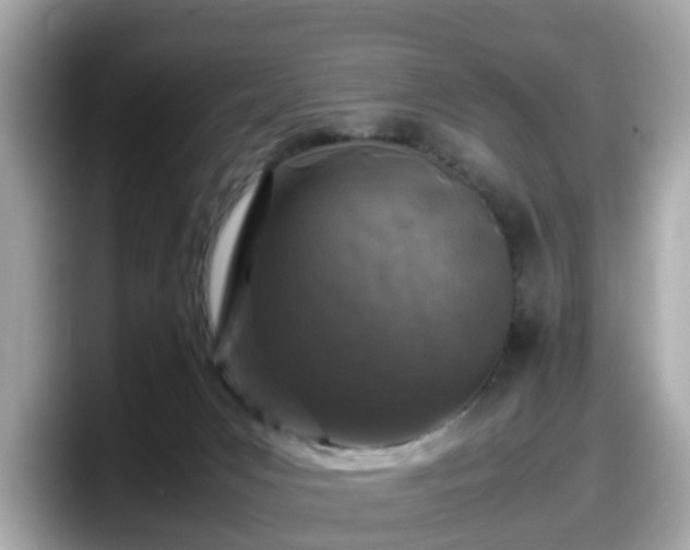 X0000098080031200804110951