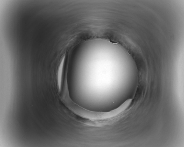 X0000098080033200804110951