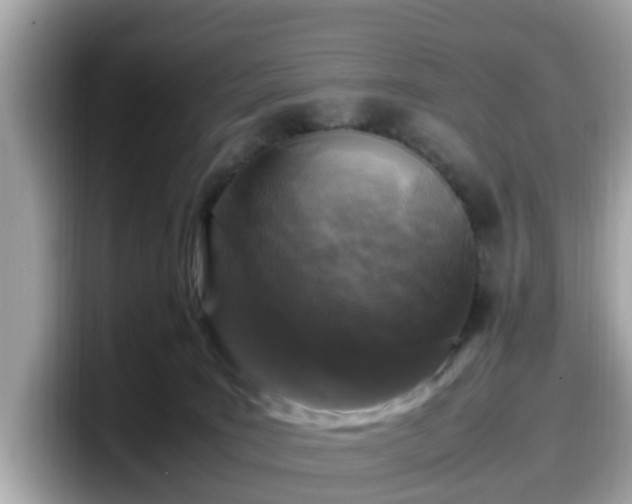 X0000098080035200804110951